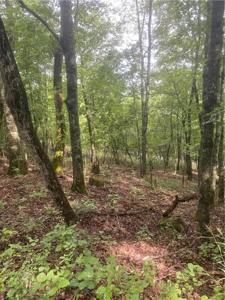 Lot 12 Woodside Lane