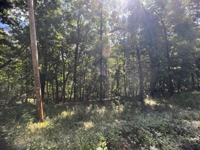 33 Wildcat Lane