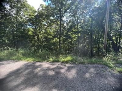 39 Wildcat Lane