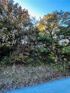 Eagle Drive