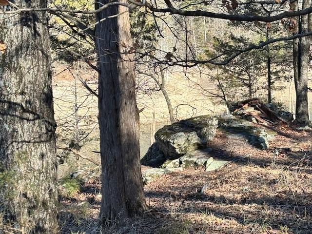 Image 3: More beautiful spots on the property