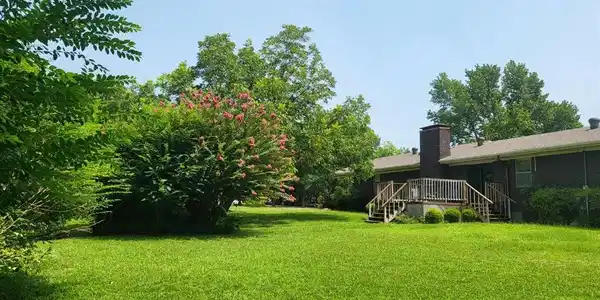 Image 2: View of grassy yard with stairway