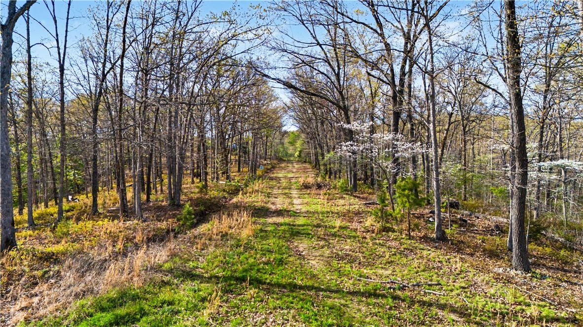 Image 3: View of wooded area