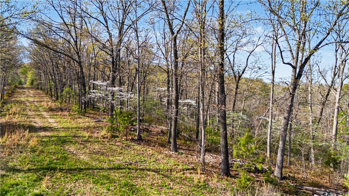 Image 4: View of undeveloped land