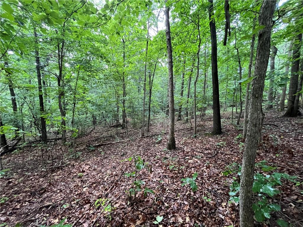 Image 1: Nice partially wooded lot with mature trees.