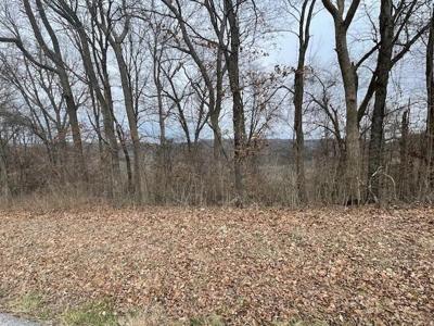 Lot 17 Holiday Island Drive
