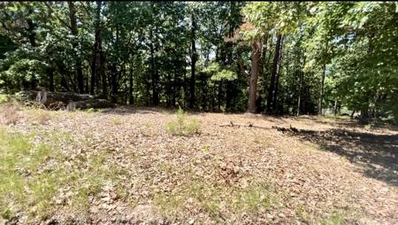 LOT 87-92 Mockingbird Lane