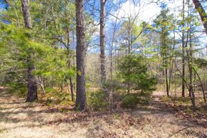Lot 672 Hickory Dr.