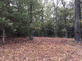 1.83AC Coose Hollow  LN