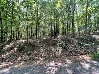Lot 7 Chelmsworth Circle