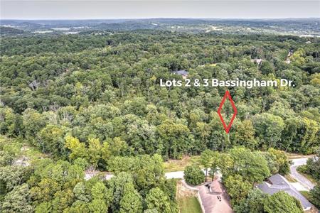 Bassingham Drive