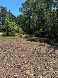 Lots 87-92 Mockingbird Lane