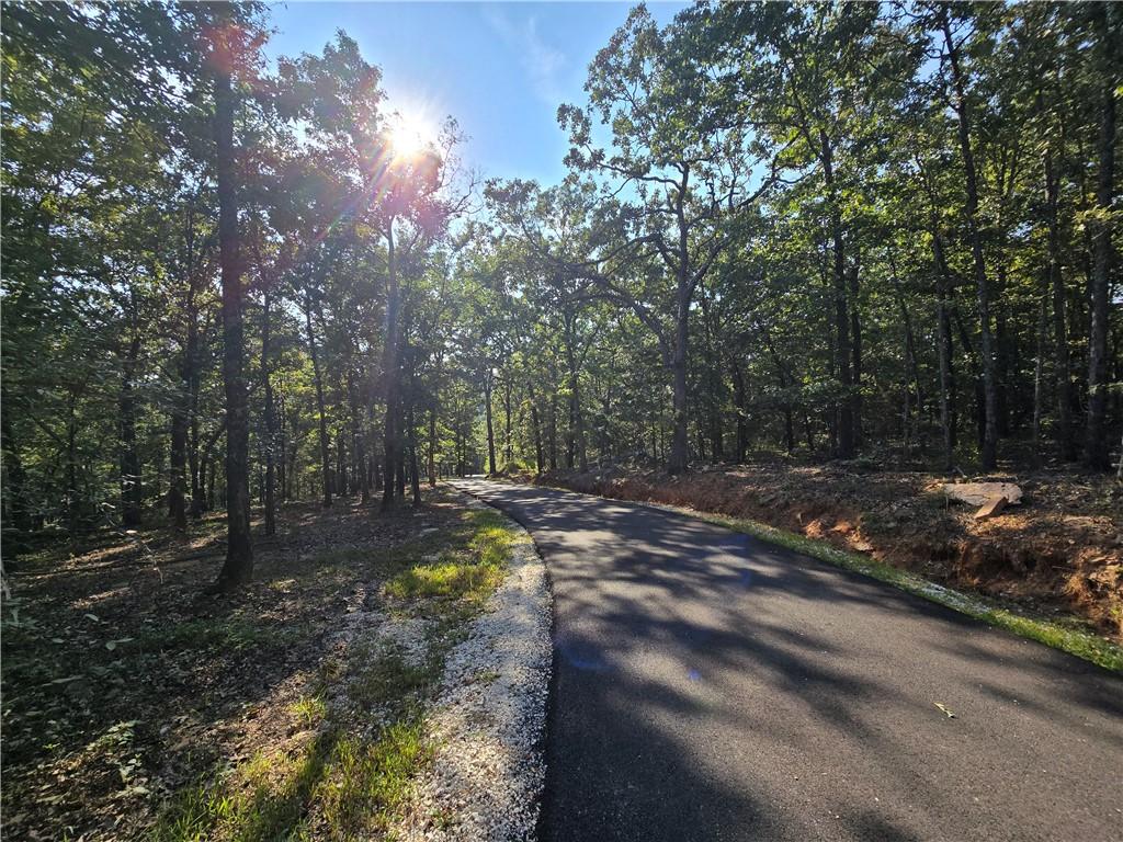 Image 3: Asphalt drive takes you all the way to the house &