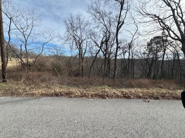 Image 4: View of asphalt road