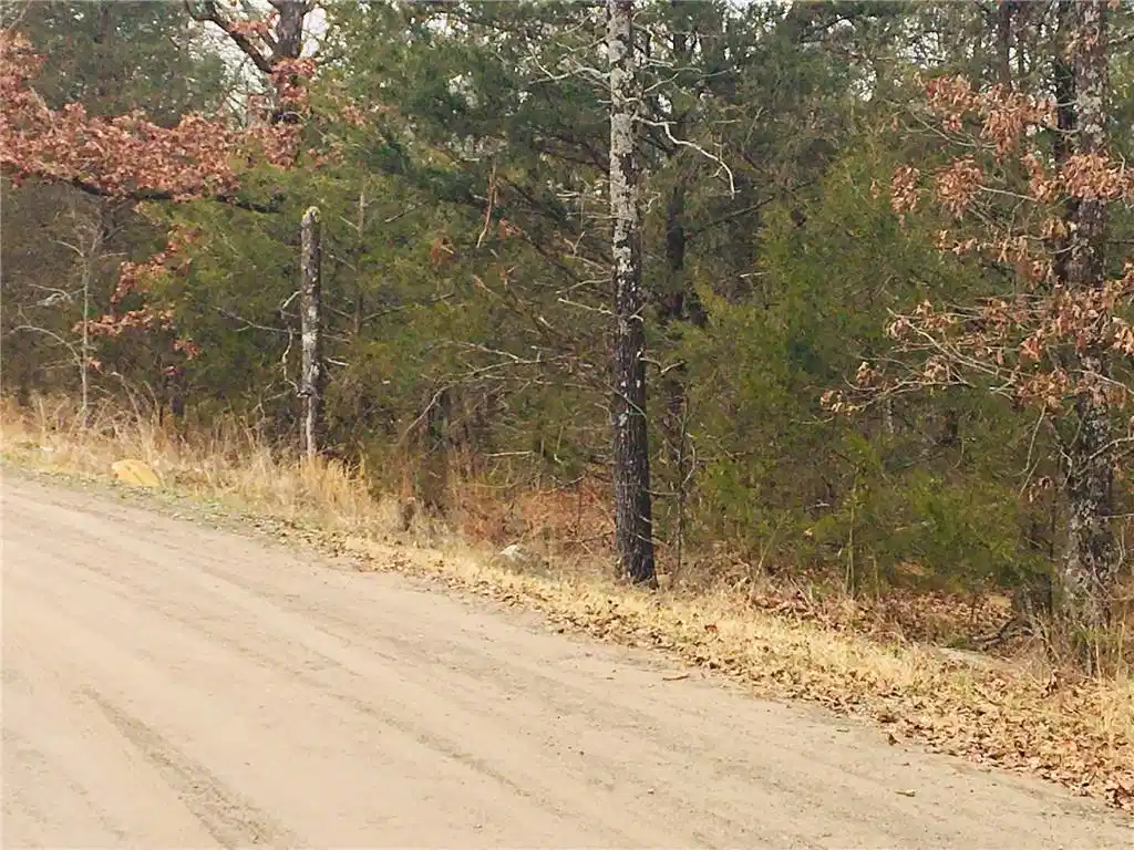 Image 1: View of dirt / gravel road featuring a view of tre