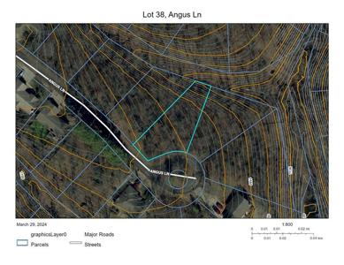 Angus Lane