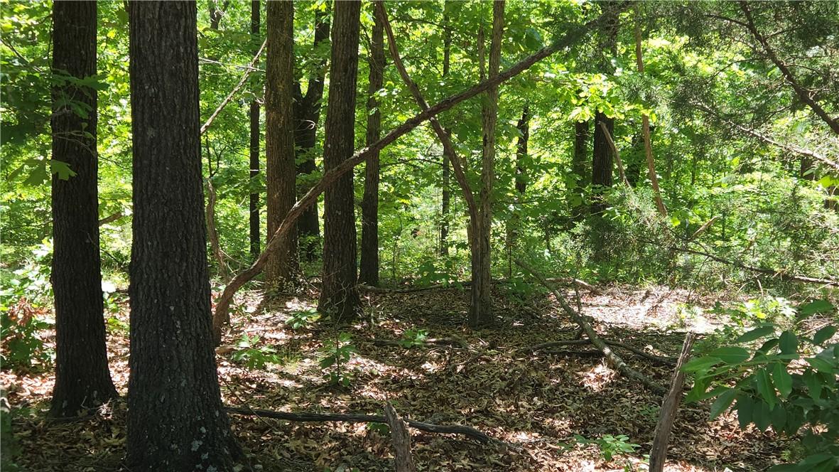 Image 4: Mature wooded acreage featuring dense tree coverag