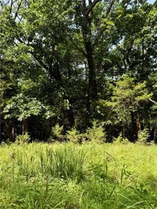 Lot 39 Pine Drive