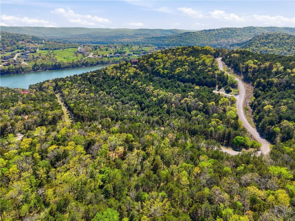 Image 2: Expansive wooded property featuring a winding road
