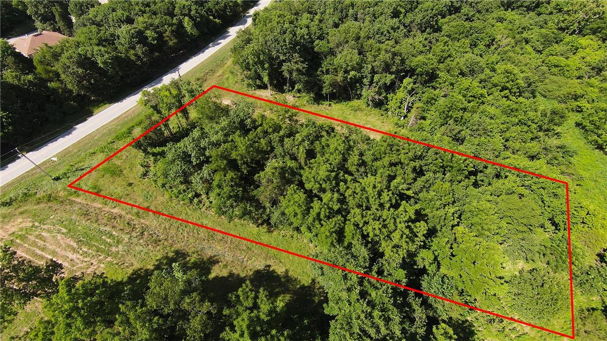 Image 3: Expansive wooded land parcel featuring mature tree