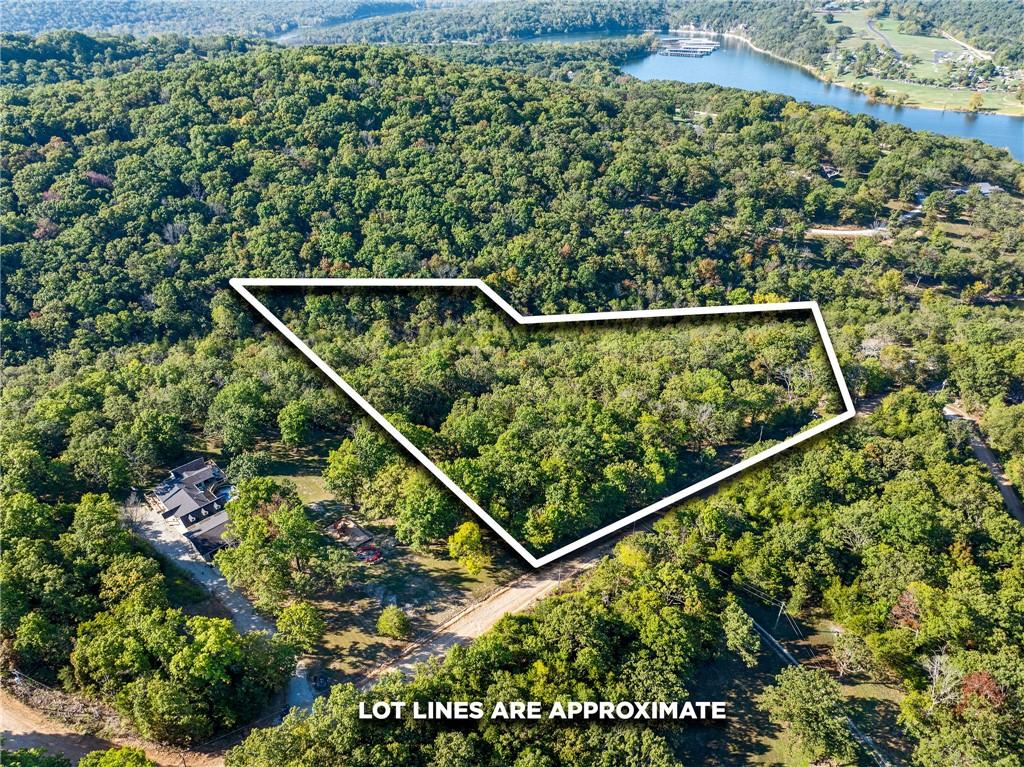 Image 3: Expansive wooded lot outlined in white, surrounded