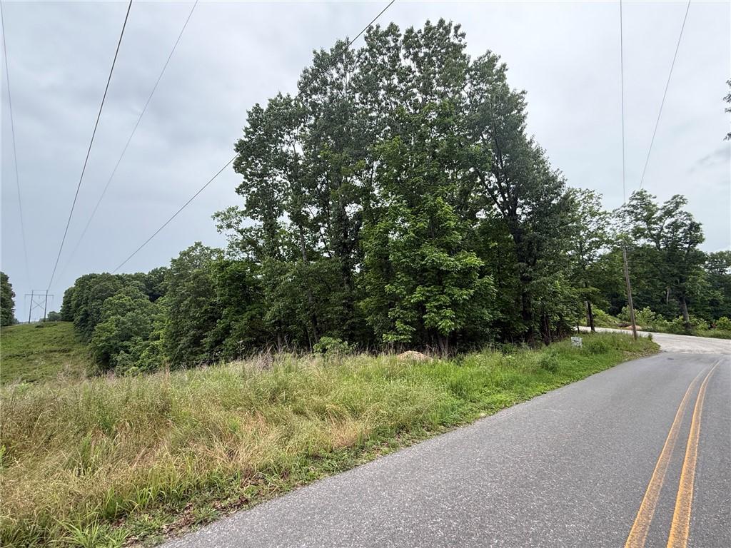 Image 4: Paved road frontage bordering a wooded lot with ma