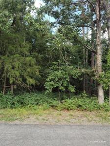 Forfar Drive
