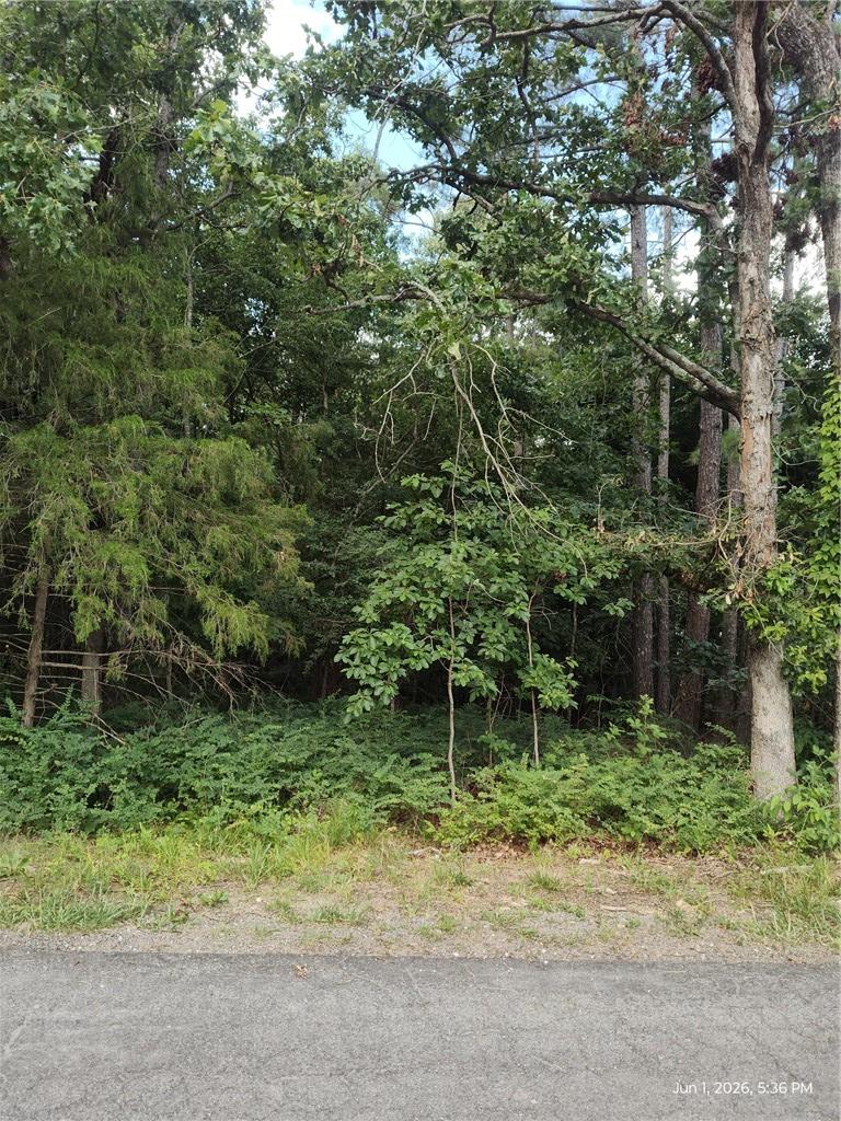 Image 1: Wooded lot featuring mature trees and diverse foli