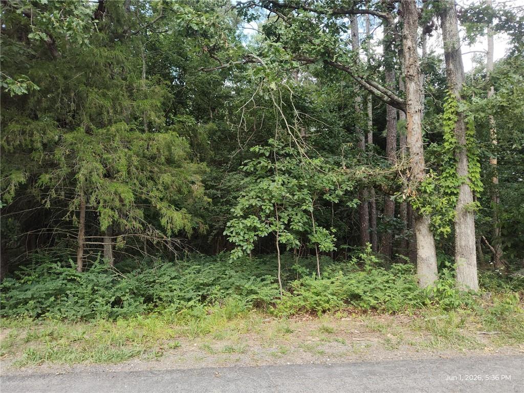 Image 2: Wooded lot featuring mature deciduous and conifero
