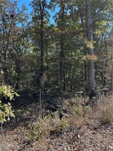 Lot 6 Block 5 Carnahan Lane