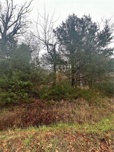 Lot 20 White River Lane