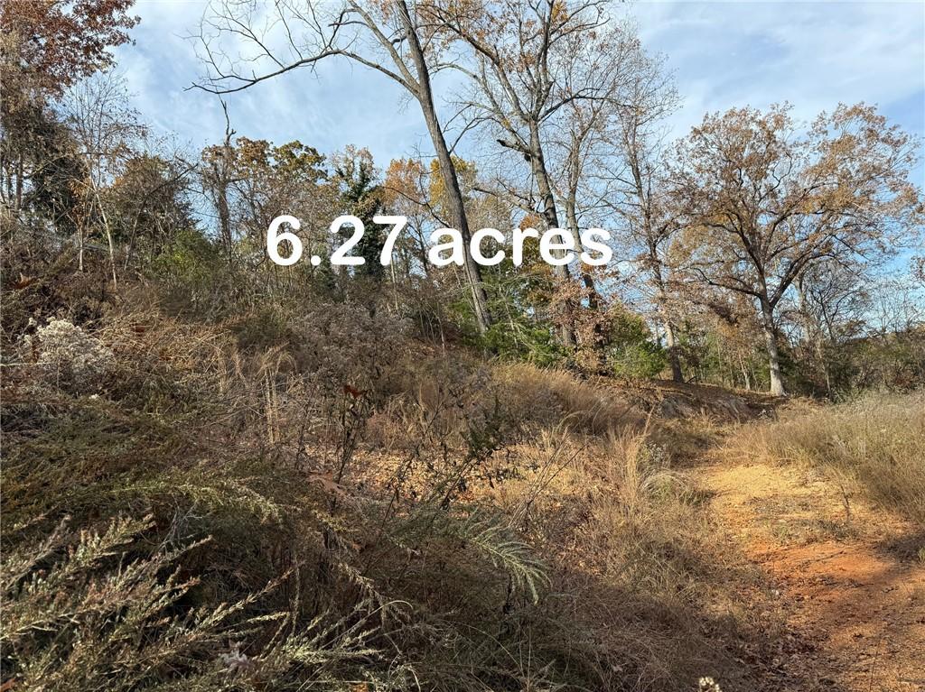 Image 4: 6.27 acres with 2 cleared build pads.