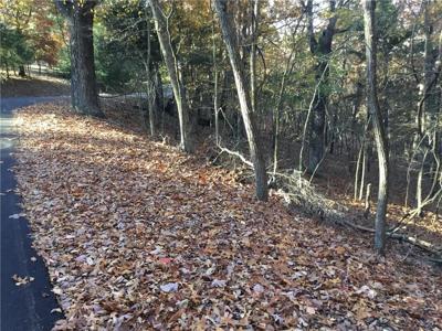 Shady Glen Road
