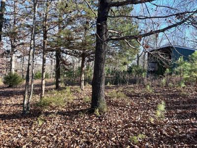 3.23AC Tanglewood Road