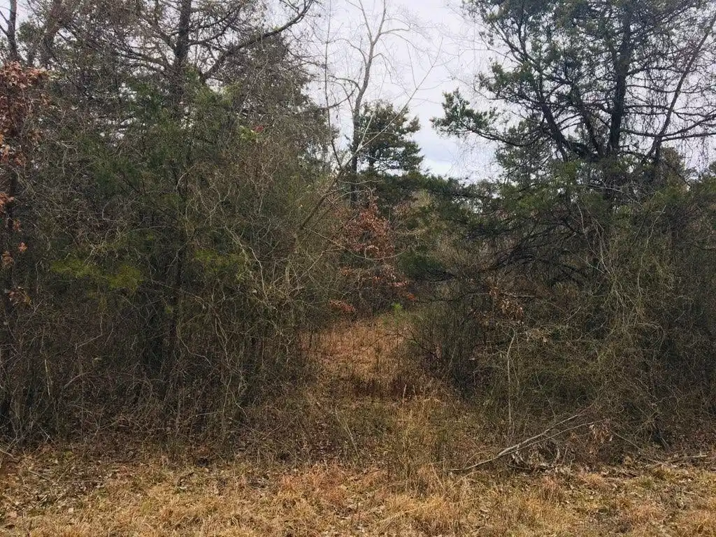 Image 1: View of nature