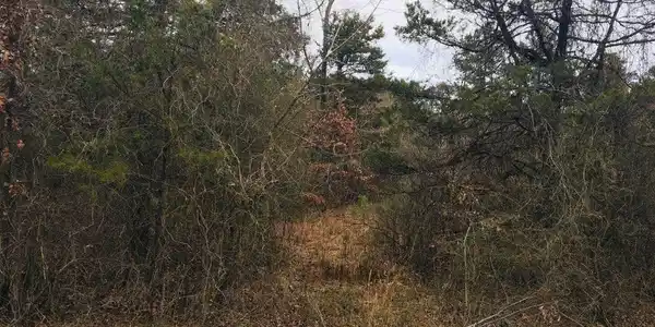 89 EAGLES NEST