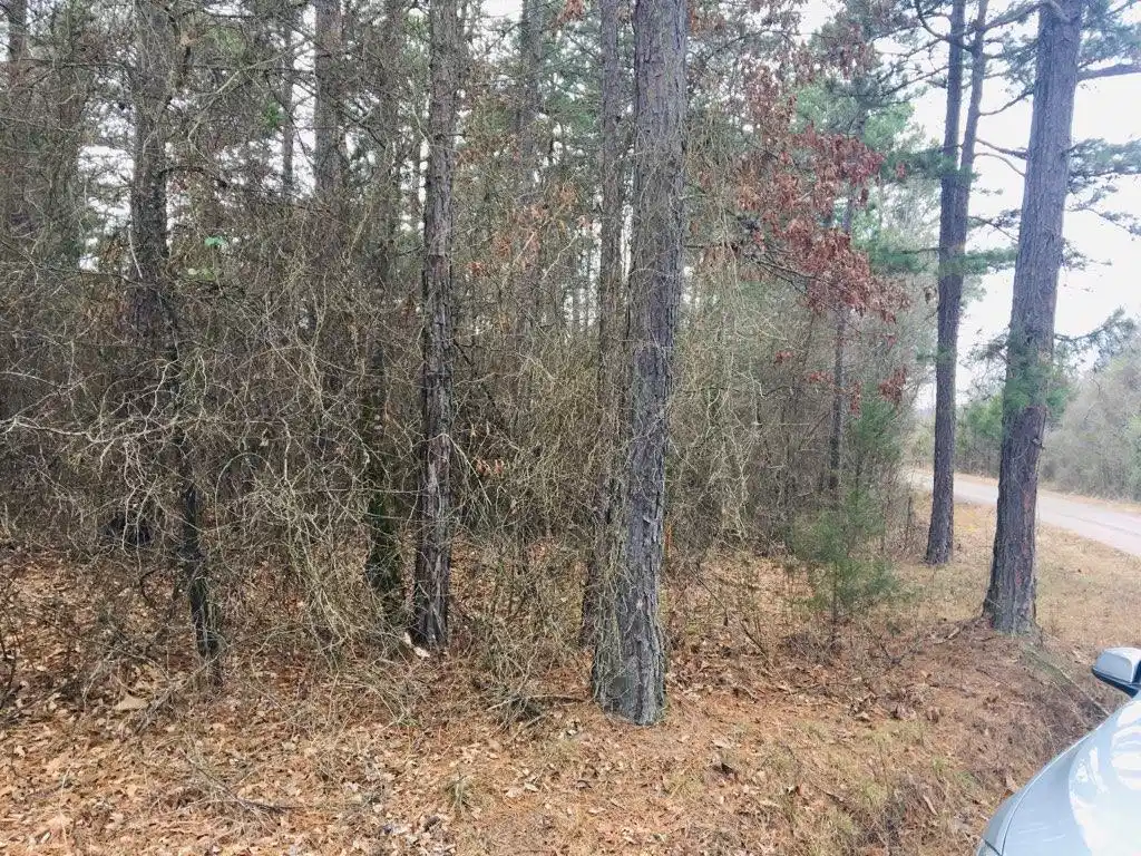 Image 1: View of undeveloped land