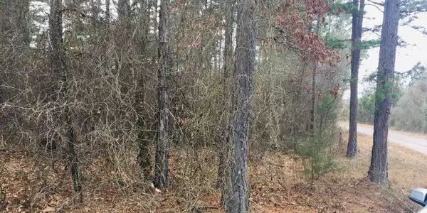 95 Eagles Nest, CR 1788