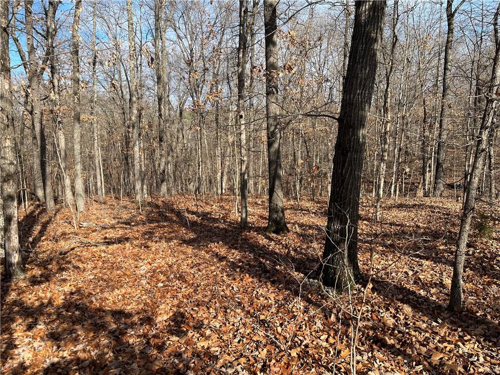 Image 3: Beautiful, wooded view from the paved street.