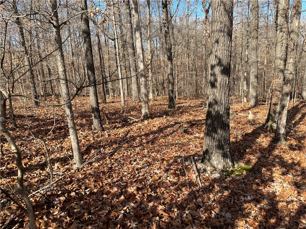 Image 4: Invision your new home built on this lot.