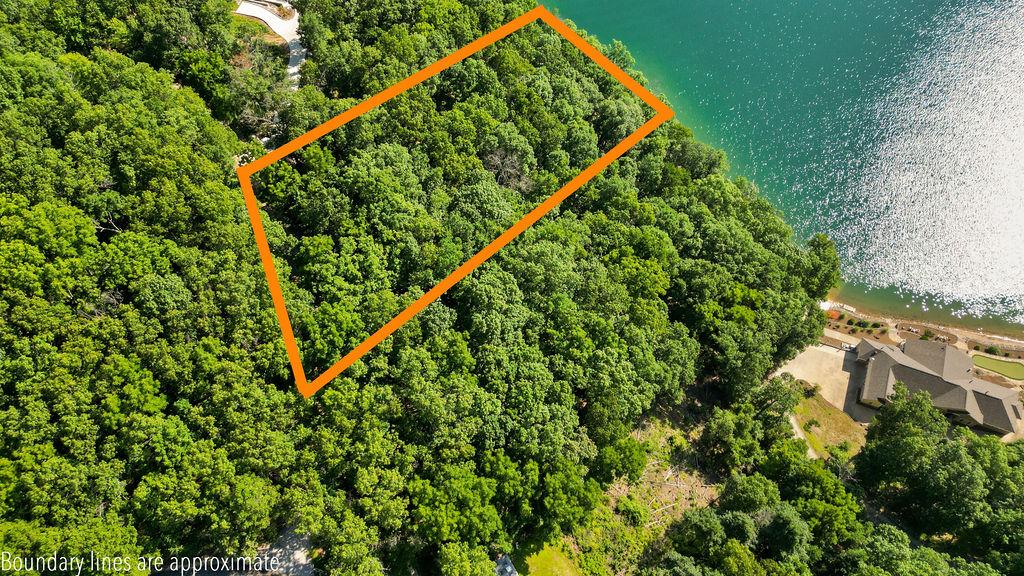 Image 3: Wooded parcel featuring expansive tree coverage an