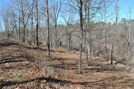 Lot 104 E Robin Road