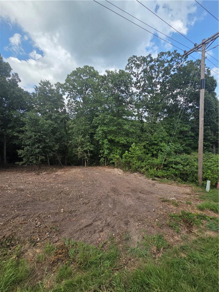 Image 1: Partially Cleared Lot