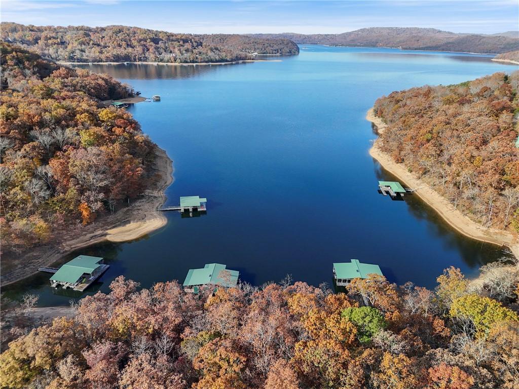 Image 2: Enjoy Beautiful Beaver Lake right from your backya