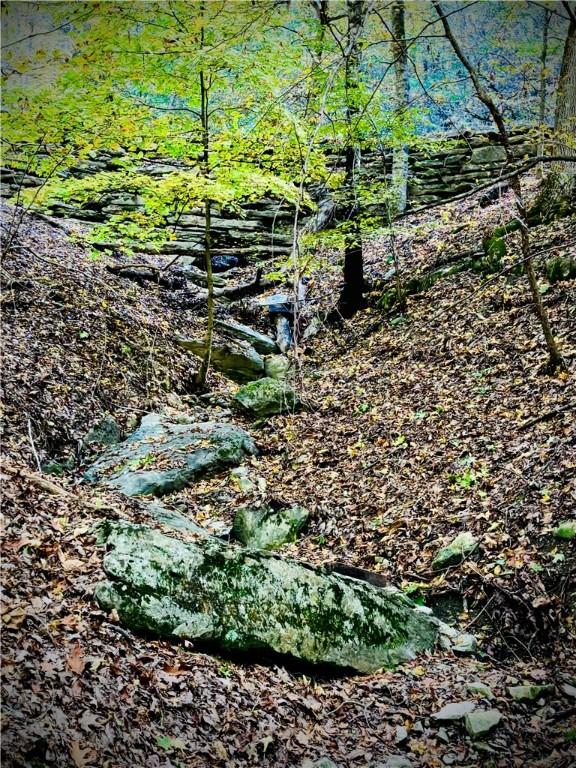 Image 3: Bluffs are found through out the property