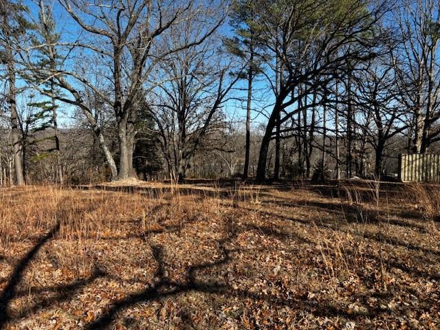 Image 3: View of local wilderness
