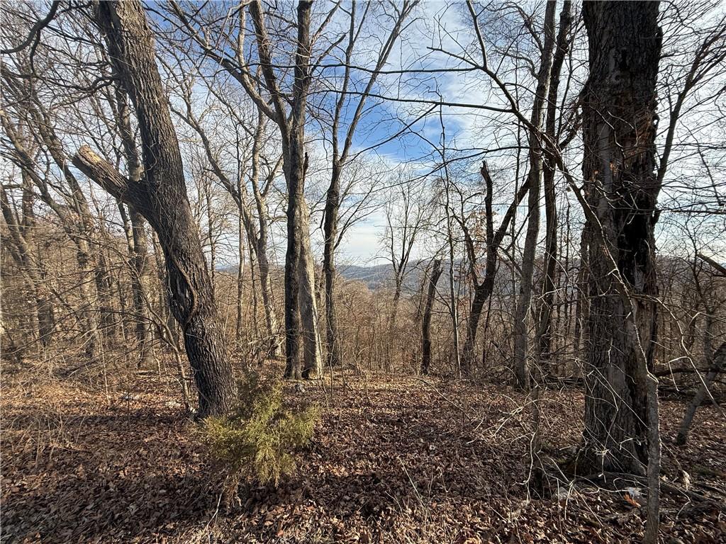 Image 2: View of nature