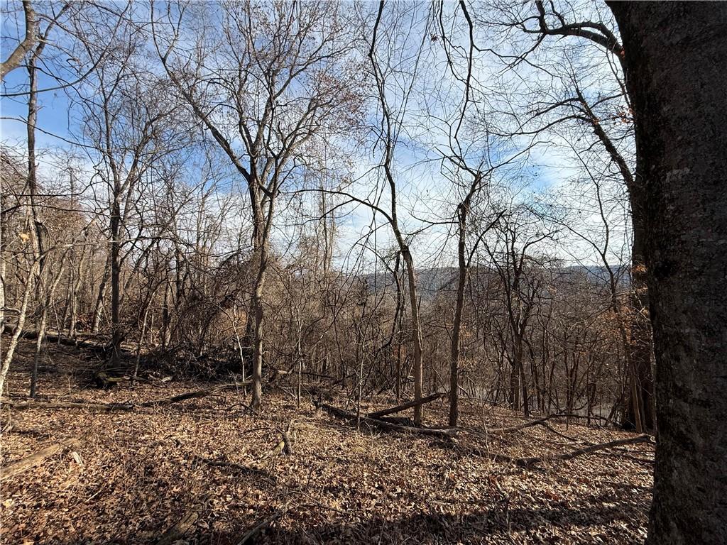 Image 4: View of local wilderness