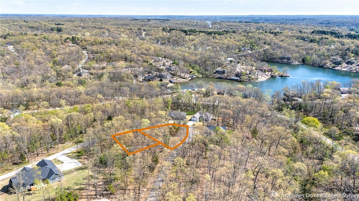 Image 3: Bird's eye view of a forest and a nearby body of w