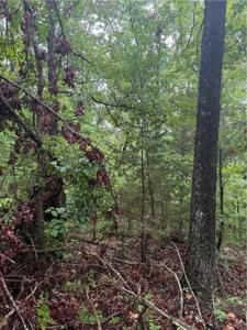 Lot 7, Block 5 Banff Drive